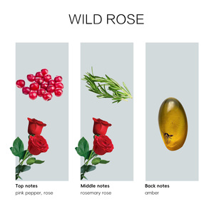 Huile de diffuseur d'aromathérapie inspirée de la rose <span class=keywords><strong>sauvage</strong></span>, parfaite pour le bureau à domicile et les espaces de détente, <span class=keywords><strong>saveur</strong></span> industrielle - Product Image 6