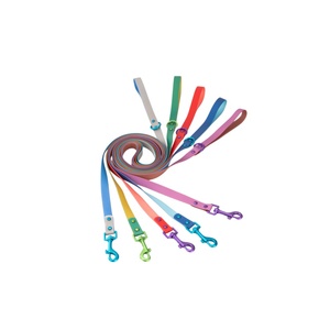 내구성 강한 반려견 용품, 소형, 중형, 대형견용 당김 방지 목줄, 하네스, 칼라 세트, 매일 산책, 야외 훈련용 - Product Image 1