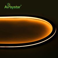 Bande LED néon en silicone noir unique, 10*10mm, 24V, 3000K, 6000K, sans points, étanche IP67, pour enseignes