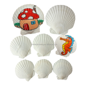 Alami dipilih ramah lingkungan bentuk unik ukuran berbeda permukaan halus kerajinan dekoratif kualitas tinggi kerang - Product Image 1