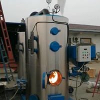 Ketel Uap Tekanan Tinggi Berbahan Bakar Batubara Biomassa Drum Tunggal Vertikal Operasi Mudah, Generator Uap Industri Berbahan Bakar Kayu Manual