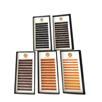 Extensions de sourcils individuelles LashPlus, logo personnalisé, vente en gros, brun foncé, 5 mm à 8 mm, plateau d'extensions de sourcils