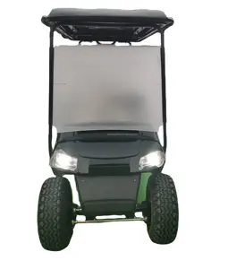 2 4 6 8 10座电动高尔夫球车步行汽油高尔夫球车在密歇根高尔夫球车外壳出售