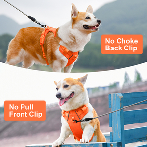 Kustomisasi korduroi anjing <span class=keywords><strong>Harness</strong></span> beludru kerah Corduroy anjing <span class=keywords><strong>Harness</strong></span> dan Set tali anjing lembut empuk dengan tas tempat kotoran - Product Image 4