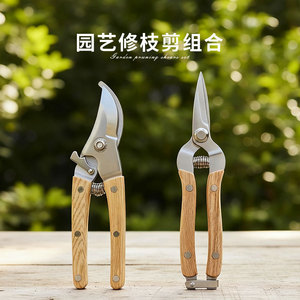 Garden <b>Pruning</b> Shears Carbon Steel Straight Headed Bird Beak For Fruit <b>Tree</b> Flower Trimming Garden <b>Tools</b> - Product Image 4