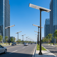 Lampadaire solaire LED monocristallin en silicium à haut lumen, étanche IP65 pour extérieur
