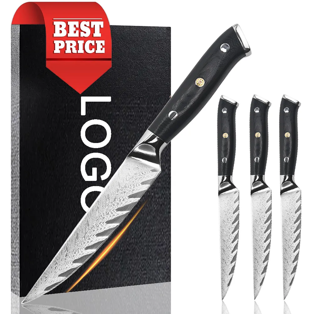 Grande sconto giapponese Vg10 67 strati coltello da bistecca in acciaio damasco Set di 4 coltelli da cucina Chef con manico G10