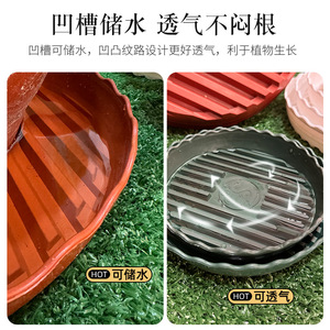Round Resin Pot Tray With Drainage Hole For Indoor Plants Desktop Or Floor Standing Breathable And Corrosion Resistant - Product Image 2