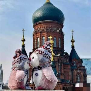 בובת פינגווין חדשה להתאמה אישית, לבושה כובע, מזכרת תיירותית מפארק הקוטב - Product Image 5