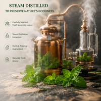 Huile Essentielle de Menthe Verte 100% Pure, Naturelle et Biologique de Qualité Cosmétique pour Soins de la Peau, Huiles Capillaires pour la Croissance et le Soin du Visage (Marque Blanche)