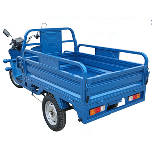 Motocicleta Eléctrica <span class=keywords><strong>de</strong></span> Carga <span class=keywords><strong>de</strong></span> 3 Ruedas, Chasis Personalizado, Rodamientos, Neumáticos, Camper, 60V 1000W, Trabajo Pesado Agrícola - Product Image 3