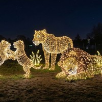 Decoración de Faroles para Parque de Atracciones de Animales, para Navidad, Uso en Interiores/Exteriores, Espectáculo de Luces para Parque Temático