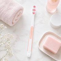 Brosse à dents manuelle pour adultes en gros avec poils confortables et manche en plastique pour l'hygiène bucco-dentaire quotidienne