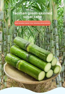 Canna da Zucchero Verde di Taoshan Appena Tagliata 1 Scatola 2,5kg Buccia Sottile Croccante Succosa Dolce Lunga Spedita tramite SF Express Cina - Product Image 6