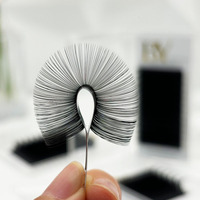 BY 0.03 0.05 Extension de cils de volume russe de marque privée Faux cils individuels Extensions de cils noirs mats foncés