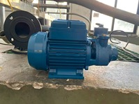 Pompa Peristaltik Listrik CGO PM45 untuk Rumah Tangga Tekanan Rendah 0.5 HP Impeller Kuningan Outlet 1 inci