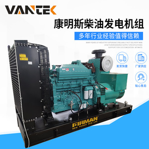 Groupe électrogène diesel Jiangsu Wantai 300 kW refroidi par eau 1500 tr/min 50 Hz régulation automatique de la tension - Product Image 5