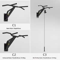 Rak Pull-Up Dip Push-Up Wellshow dengan Desain Terpisah yang Dipasang di Dinding, Peralatan Fitness