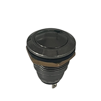 Interruptor TOOWEI CE RoHS 12V 24V 220V Interruptor de botón de metal momentáneo