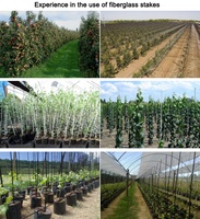 Piquets de Soutien pour Plantes en Fibre de Verre FRP GRP Résistants aux UV, Piquet d'Arbre en Fibre de Verre 3K Veil