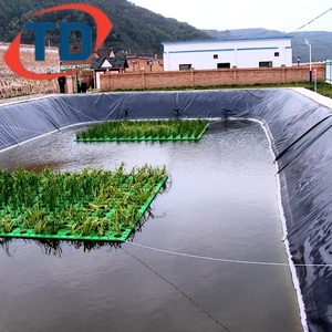 Nước biển màng <span class=keywords><strong>HDPE</strong></span> geomembranes cho cá Pond Liner 45mil 0.5mm 0.75mm 1mm 1.5mm chất lượng tốt geomembrana cho bãi rác - Product Image 5