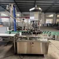Machine de remplissage et de bouchage automatique d'alcool de type industriel 5000-6000 BPH, machine de scellage à vis pour vin
