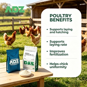 Aditivos Alimentarios para Rumiantes, Enzimas Descomplejificadoras <span class=keywords><strong>de</strong></span> Micotoxinas, Previenen <span class=keywords><strong>la</strong></span> <span class=keywords><strong>Mastitis</strong></span> y el Abandono en Cerdos, Ganado Lechero y Aves <span class=keywords><strong>de</strong></span> Corral - Product Image 5