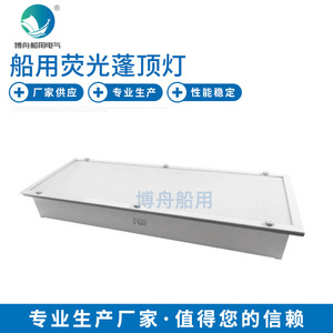 Lámpara Fluorescente de Techo JPY21-2E con Iluminación de Emergencia para Cabina, Tipo Tubo Fluorescente para Habitaciones Marinas - Product Image 1