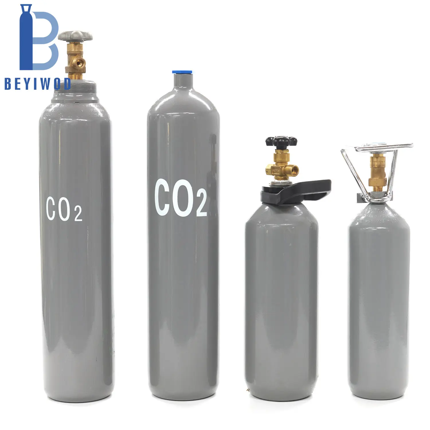 BEYIWOD 2L 5L 8L 10L 15L 20L 40L 50L 68L Stahl Kohlendioxid flasche Co2 Gastank flasche zum Löschen von Aquarien getränken