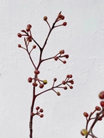 Großhandel natürliche Weide trockene Äste und getrocknete Blumen Cornus Control versa Dekorationen für Easter Hotel Mall Dekorationen