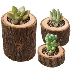 Sukkulenter Pflanzer Holz pflanzer Mini Flower Planter Pot 3 Packungen (Pflanzen NICHT enthalten)