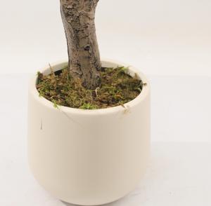 Plante d'olivier artificielle JWT4091, faible entretien, bonsaï <span class=keywords><strong>en</strong></span> plastique, plusieurs hauteurs de pots, convient pour la décoration intérieure - Product Image 4