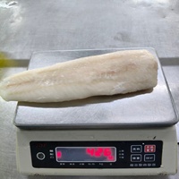 Filets de Hake Congelés (Merluccius Hubbsi) Congelation IQF Traitement UE Emballage en Vrac Vente en Gros Fruits de Mer Bonne Qualité POISSON