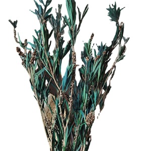 ลูกปัด<span class=keywords><strong>พระ</strong></span>พุทธรูปโรงงานนิรันดร์ช่อดอกไม้แห้งที่เก็บรักษาไว้อุปกรณ์ตกแต่งแบบนิ่มจัดสวนเทศกาลแต่งงานจัดสวน - Product Image 5