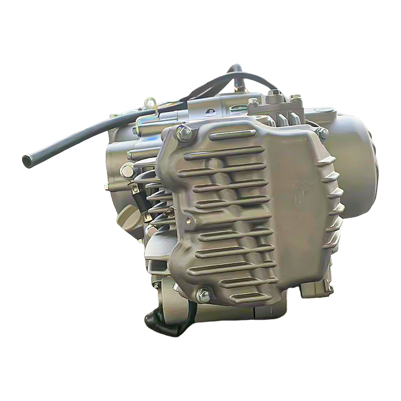 しんのすけcc　1225 Zongshen NC300S Engine - 25KW SOHC for Kawasaki Replacement