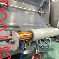 Machine d'emballage de sachets multivoies, fabricant de machines d'emballage de shampoing