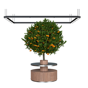 Exhibidor Metálico Cuadrado de Alta Capacidad y Durabilidad para Supermercados, Ideal para Frutas y Verduras - Product Image 2