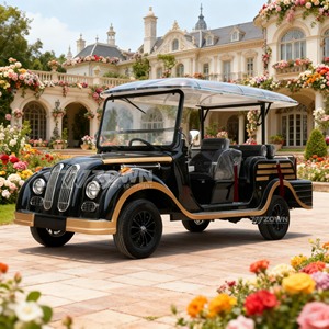 Véhicule de tourisme électrique au design classique européen, style voiture d'époque, alimenté au lithium 72 volts, vente directe usine - Product Image 3