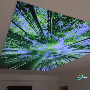 Plafonds suspendus en PVC LeArt Project pour salle de bain, dalles de plafond suspendu, film imprimé en 3D, <span class=keywords><strong>prix</strong></span> du plafond tendu - Product Image 5