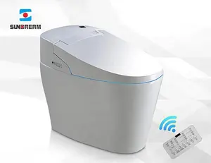 SUNDREAM Modern Bathroom Automatic Intelligent Products Smart Electrical Toilets