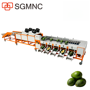 Línea <span class=keywords><strong>de</strong></span> Empaque <span class=keywords><strong>de</strong></span> Aguacates <span class=keywords><strong>HASS</strong></span> <span class=keywords><strong>de</strong></span> 2 Toneladas/Hora para Granjas <span class=keywords><strong>de</strong></span> Aguacates en Zambia, Kenia y Tanzania - Product Image 1