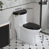 WC monobloc de luxe en céramique à chasse siphonique, économie d'eau, pour projets résidentiels et hôteliers (vente en gros)