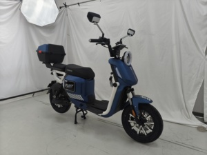 Motocicleta Eléctrica Urbana de Alto Rendimiento, 800W, 48V, de Una Sola Velocidad - Product Image 2