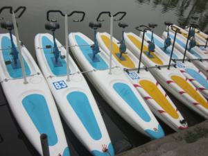 เรือถีบน้ำขายส่งราคาโรงงาน สำหรับกีฬาทางน้ำ ราคาถูก - Product Image 5