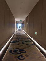 Nylon/Polypropylen Hochfloriger Schnittflor-Teppich mit geometrischem Muster, schmutzabweisend, fleckenresistent, Wandteppich für Hotellobbys und Zuhause