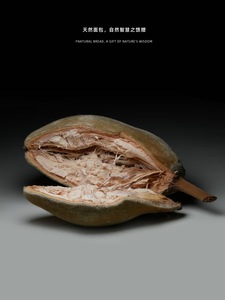 Poudre de fruit de Baobab naturelle en gros, récoltée sauvage en Zambie, qualité alimentaire, pulpe de Baobab en poudre - Product Image 6