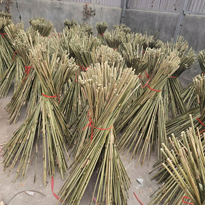 Varas de Bambú Tonkin al por Mayor para Viveros, Soportes para Plantas de Viñedos e Invernaderos, Fabricante Vietnamita - Product Image 1