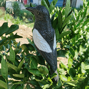 Jachtset met kraaienlokkers, 3-pack gevlokte vogel lokvogels voor ongediertebestrijding & jacht aantrekkingskracht - Product Image 6