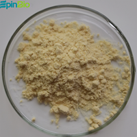 Poudre d'extrait naturel de feuille d'olivier Oleuropeine 10%-80% CAS 32619-42-4