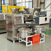 Machine d'extraction d'huile de graines de ricin, grande capacité, extracteur d'huile commercial, fournisseur, exportation vers l'Inde